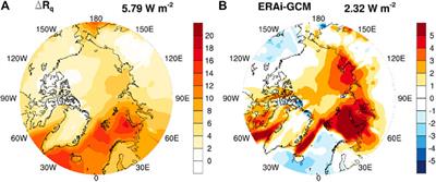 The Nonlinear Radiative Feedback Effects in the Arctic Warming